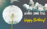 may-all-your-wishes-come-true-happy-birthrthday-animated-dandelion-gif.gif