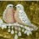 taseenfathima